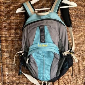 Vintage L.L. Bean H2O Backpack